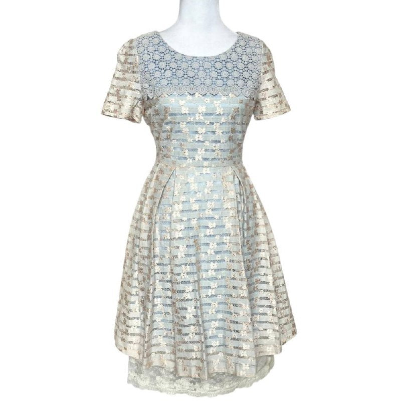 Vintage-Inspired Lace Pleated Dress