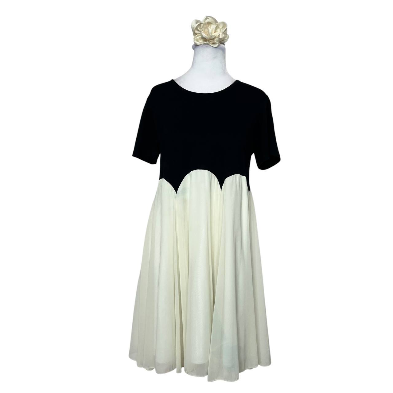 Black and White A-Line Dress