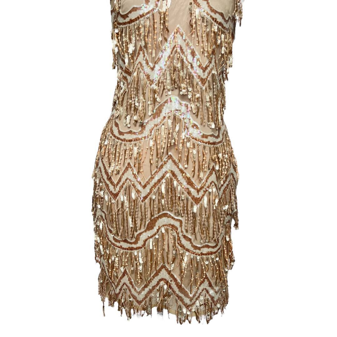 Inspired Beaded Bodycon Dress