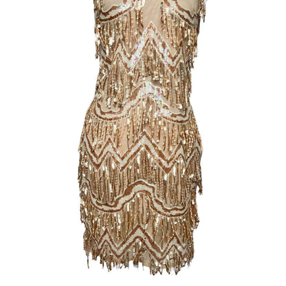 Inspired Beaded Bodycon Dress