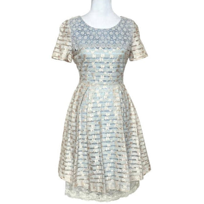 Vintage-Inspired Lace Pleated Dress