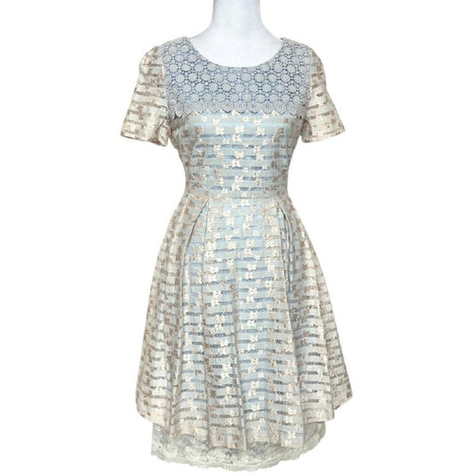Vintage-Inspired Lace Pleated Dress