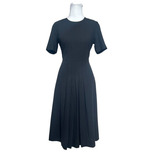 Elegant Black Pleated Dress